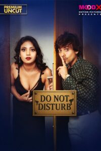 Do Not Disturb (2025)