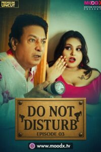 Do Not Disturb (2025)